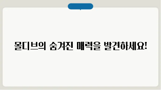 몰디브 수도, 인구, 종교