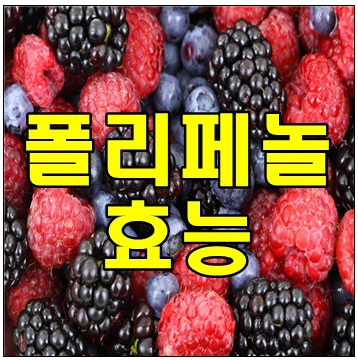  폴리페놀 효능 좋다