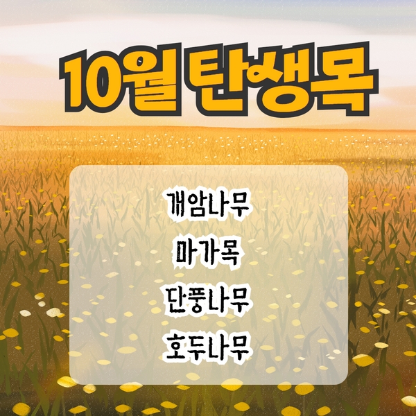 10월 탄생목 1