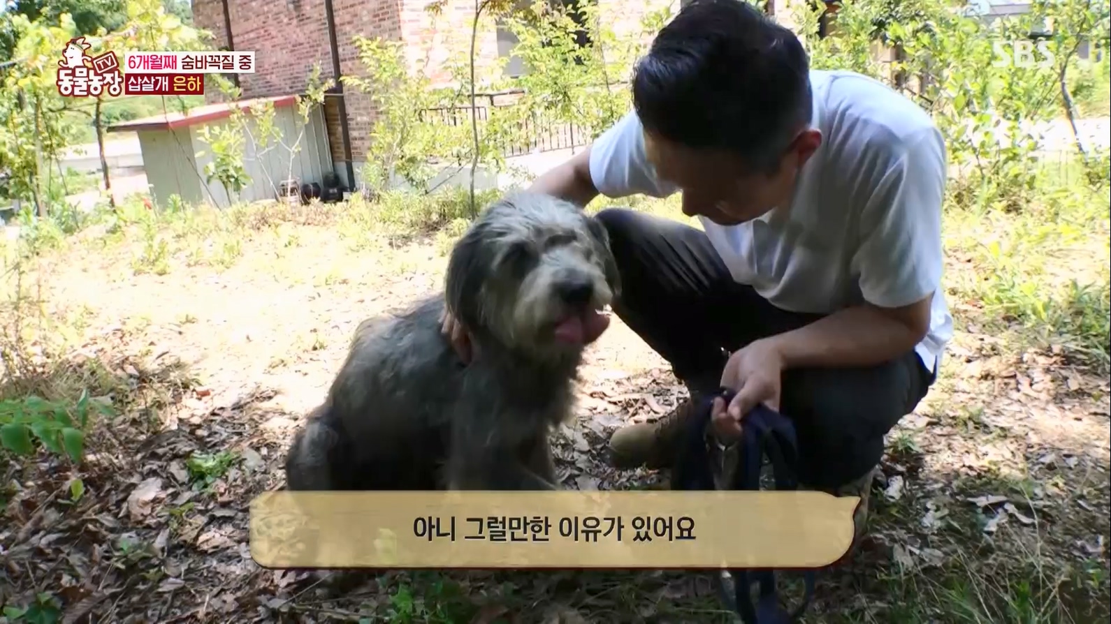 TV 동물농장.E1127.230702p.H264-F1RST.mp4_20230704_212709.313.jpg