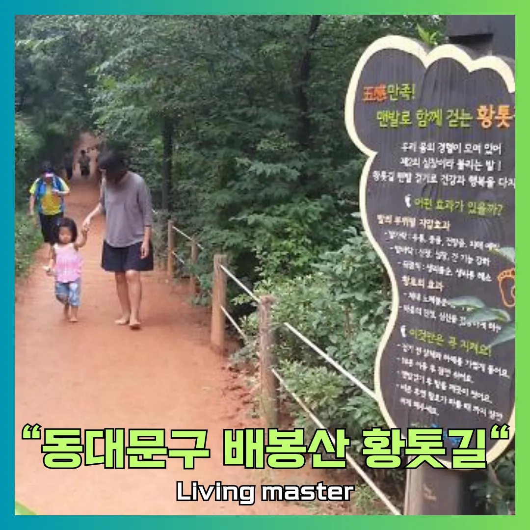 동대문구 배봉산 황톳길을 소개합니다.