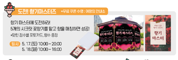 2025 대구 장미축제 이곡장미공원