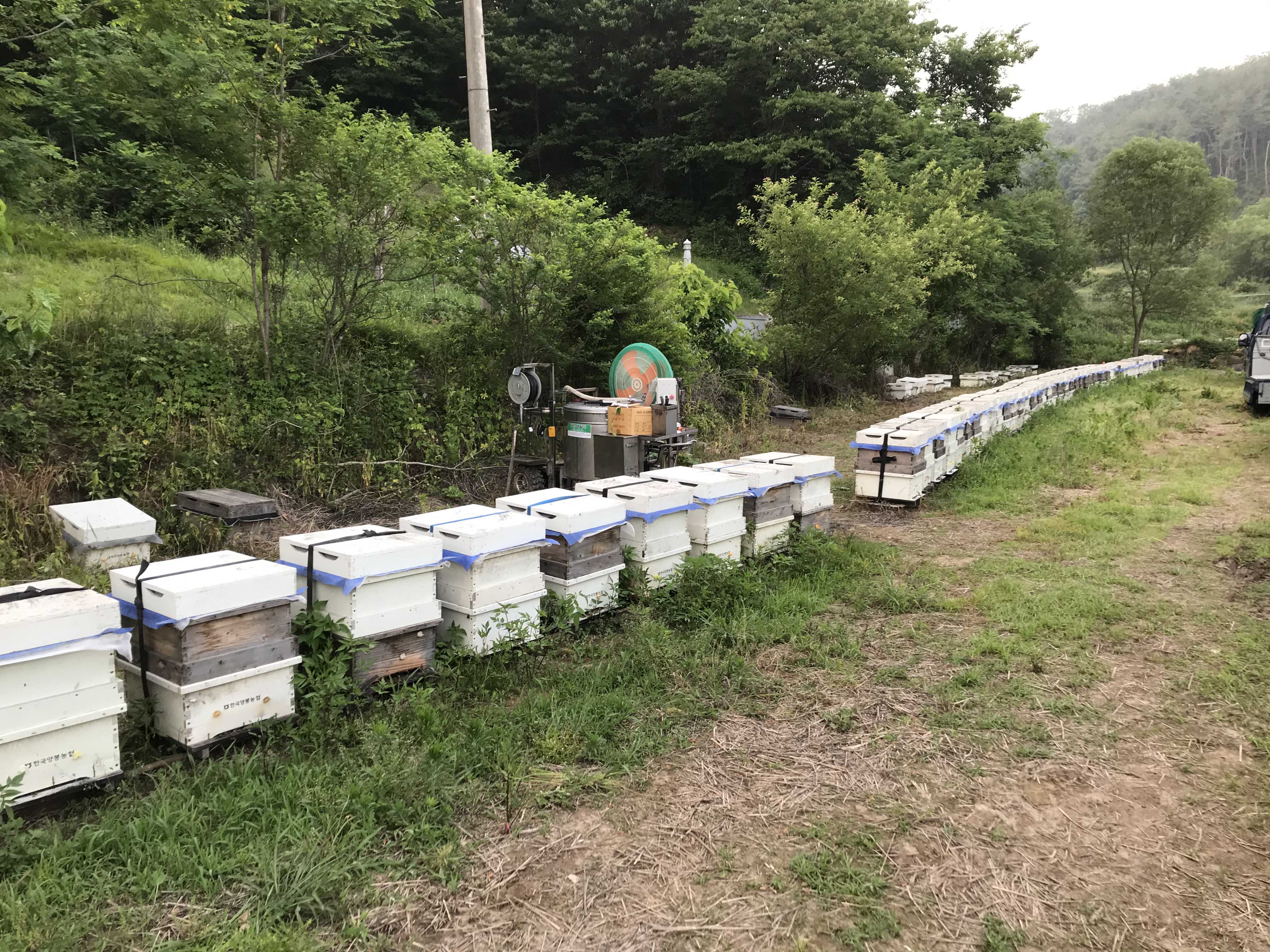 벌통 옮기는 것 도와주었다.