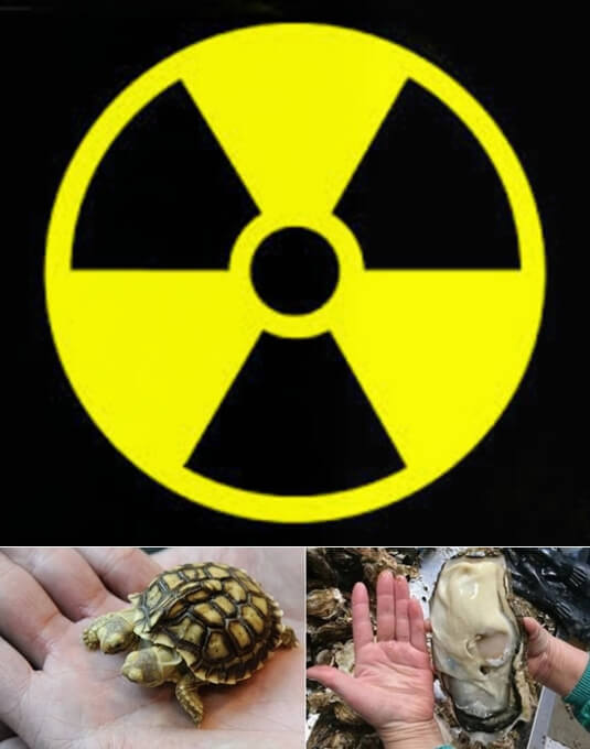  블로그