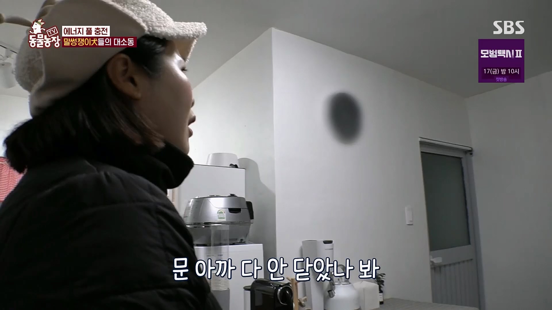 TV 동물농장.E1107.230205p.H264-F1RST.mp4_20230205_174003.119.jpg
