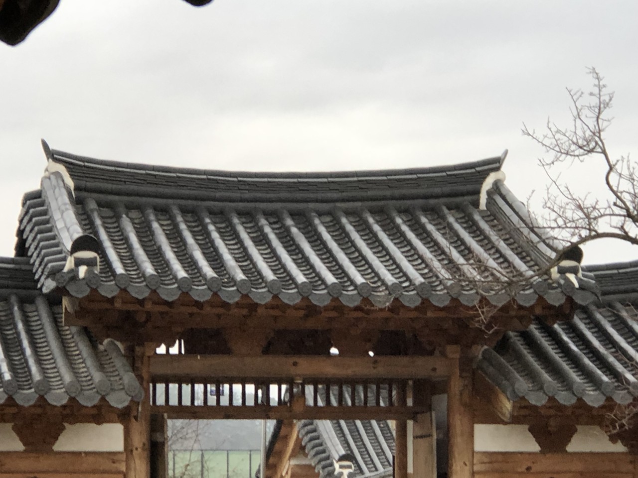  한옥 기와 지붕의 곡선에 숨어 있는 건축 비밀