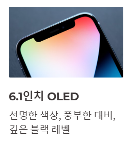 6.1인치 oled
