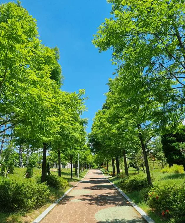 삼락강변체육공원