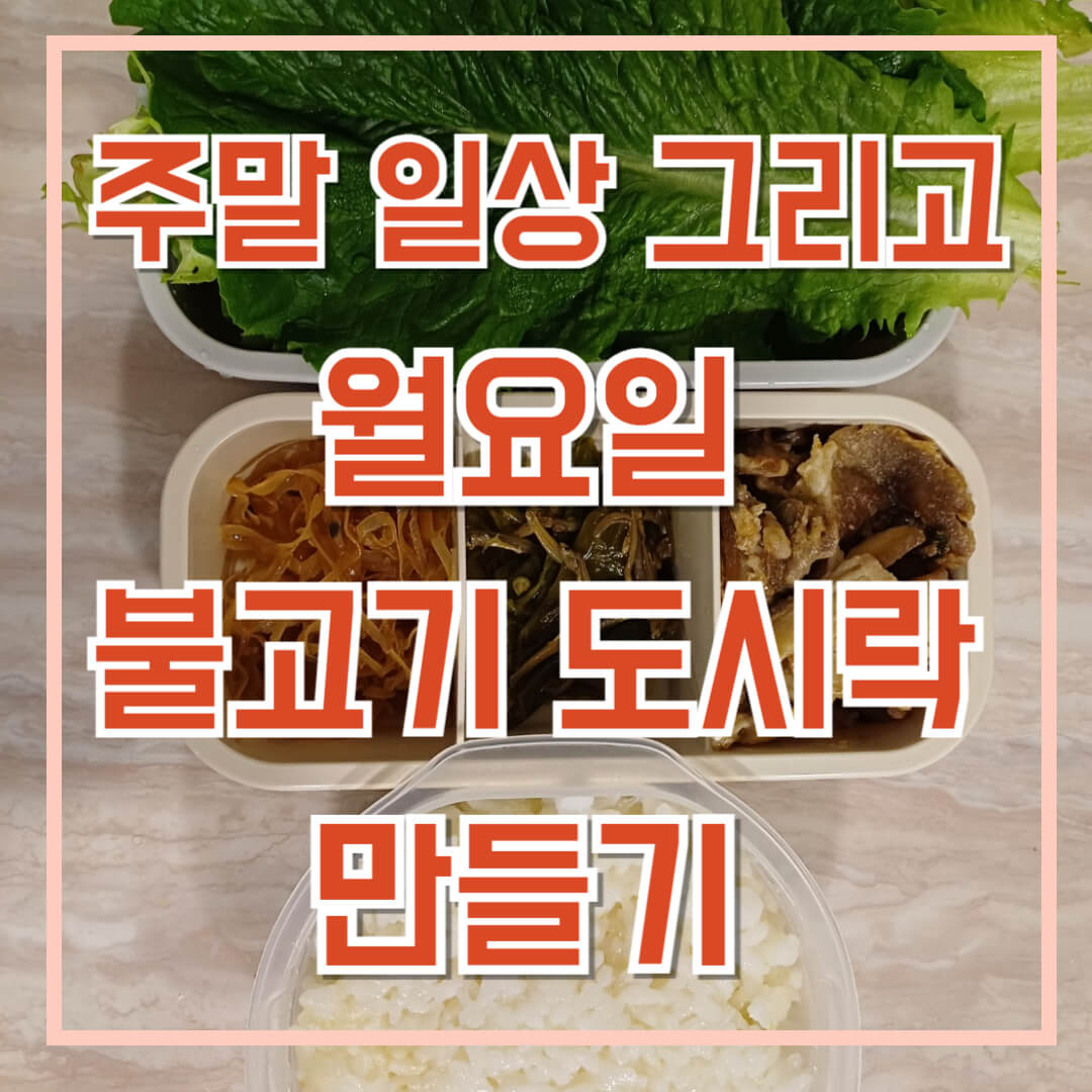 주말-일상-이후-월요일-도시락-싸기