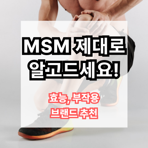 엠에스엠효능