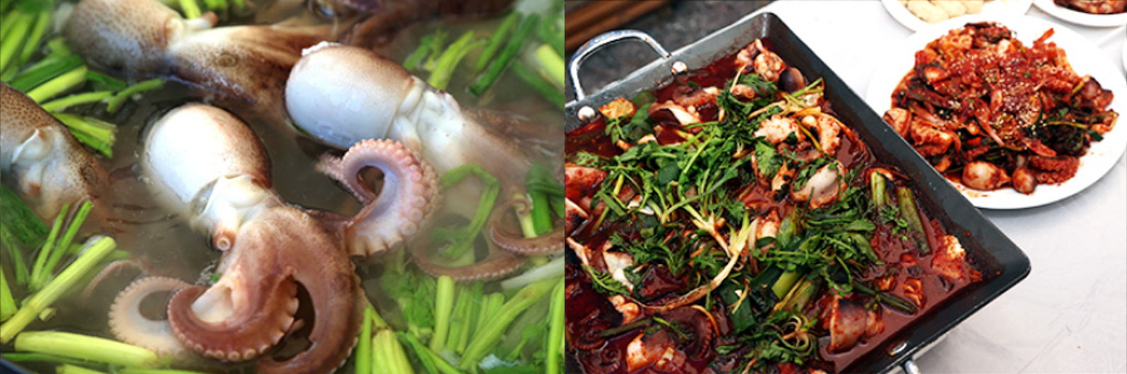 2023 서천 동백꽃 문어축제 본격 개최