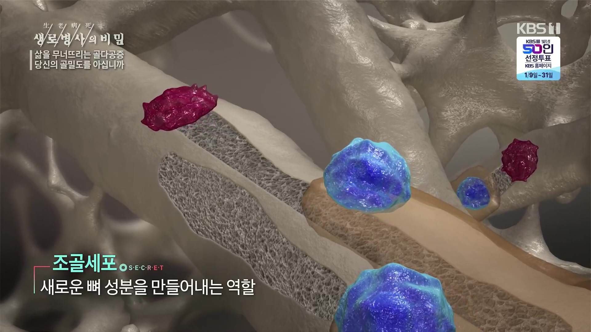 생로병사의 비밀.E852.230118p.H264-F1RST.mp4_20230120_194200.696.jpg