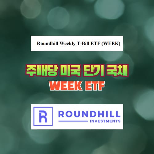 주배당 미국 단기국채 WEEK ETF