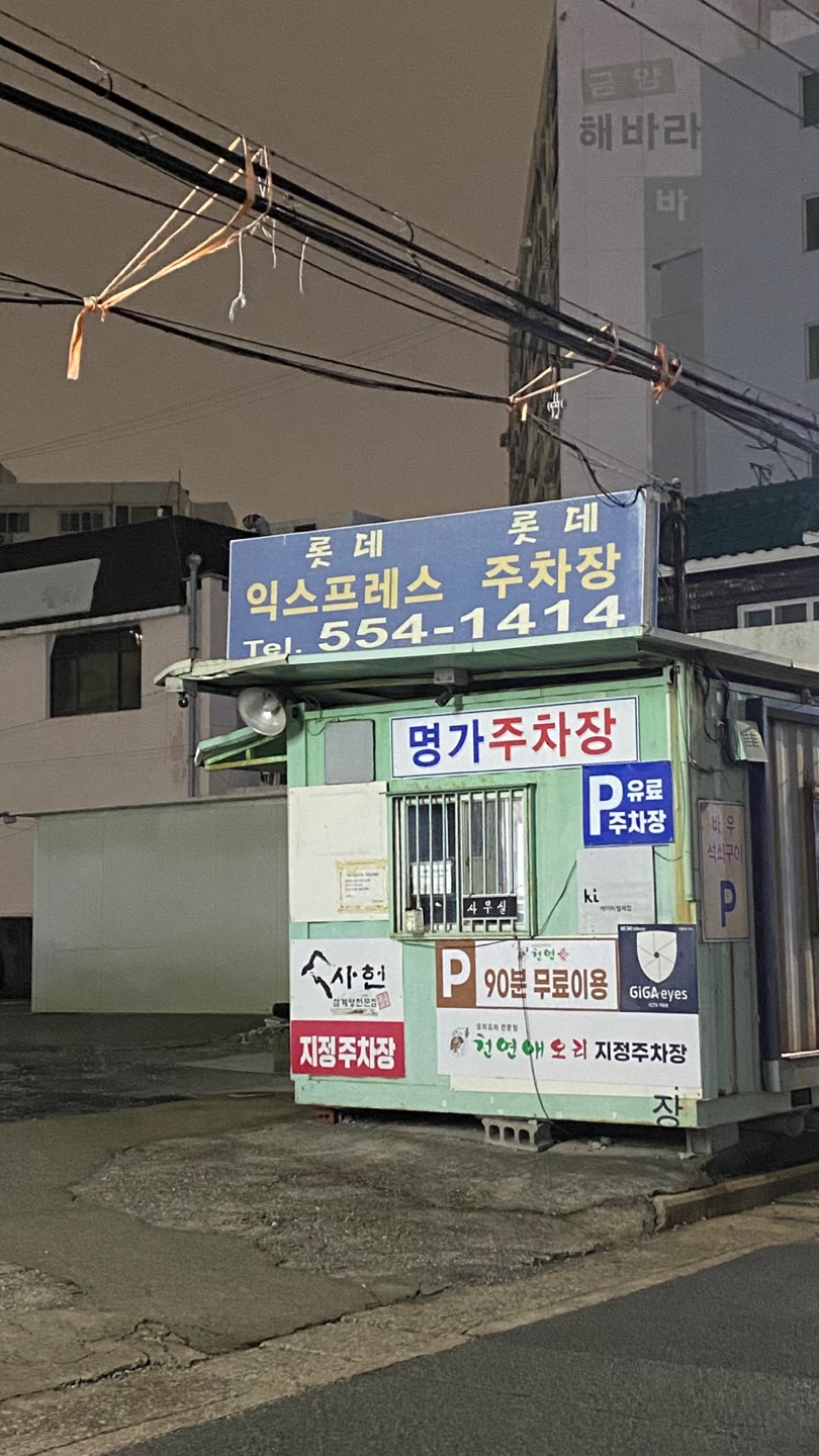 나폴리우럭 사진 3