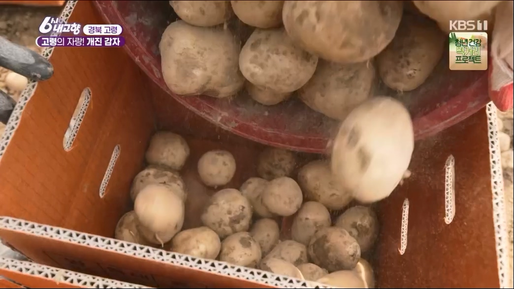 6시 내고향.E7806.230613p.H264-F1RST.mp4_20230614_205839.821.jpg