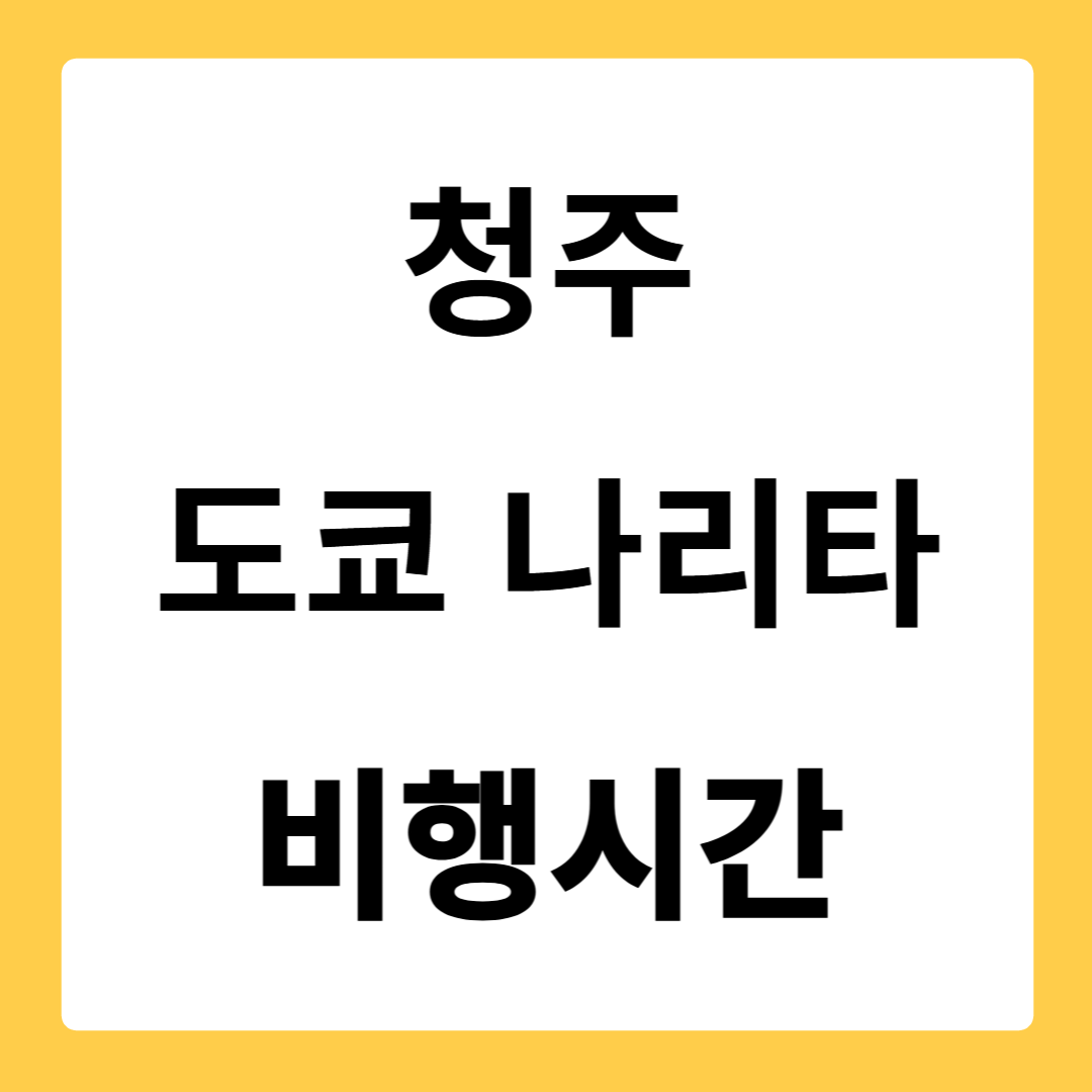 청주 도쿄 나리타 비행시간