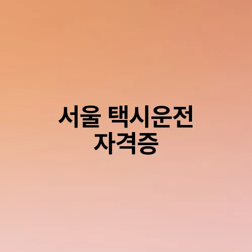 서울 택시운전 자격증