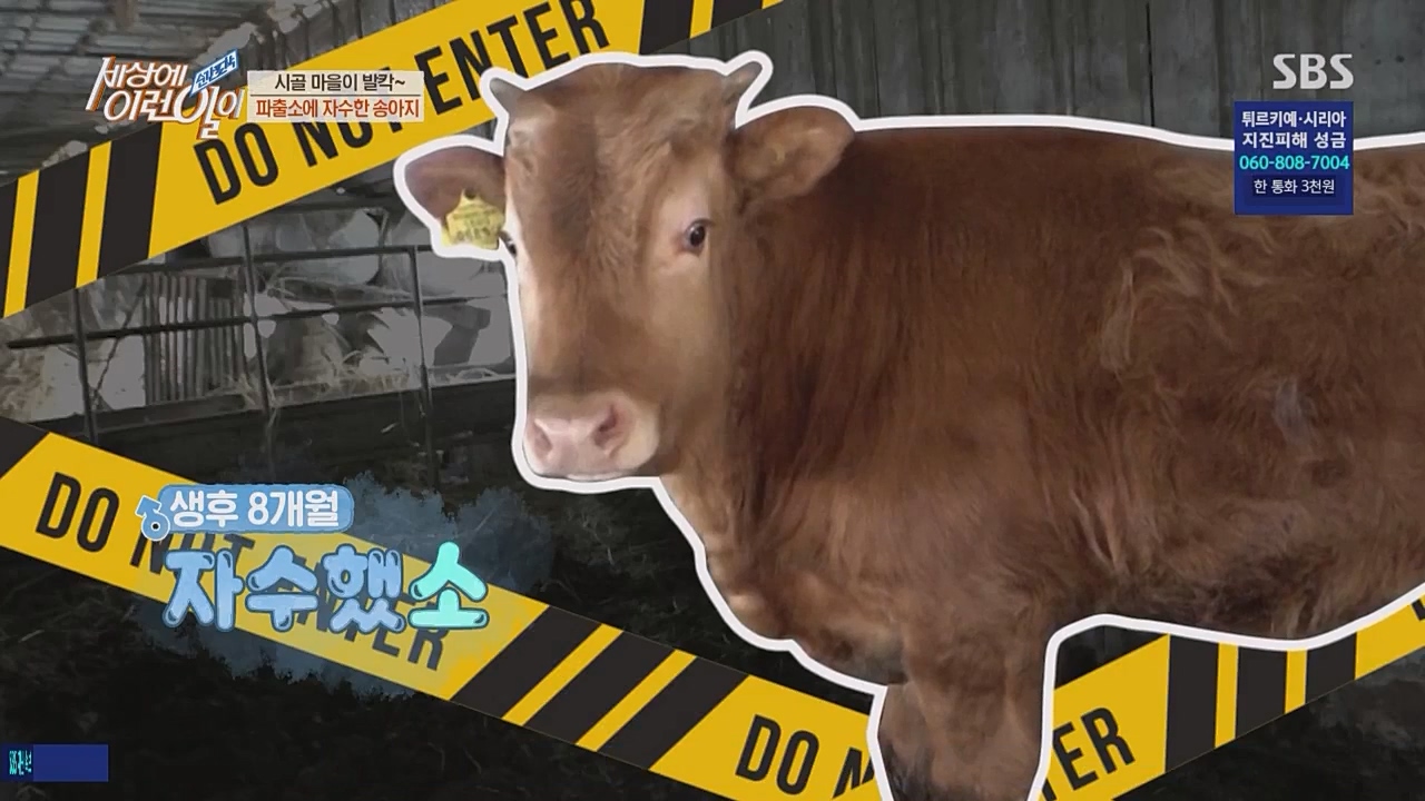 순간포착 세상에 이런 일이.E1217.230215p.WANNA.mp4_20230215_192557.488.jpg