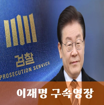 더불어 민주당 이재명 당대표