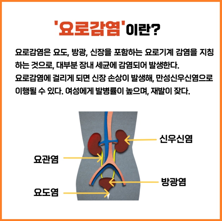 요로감염