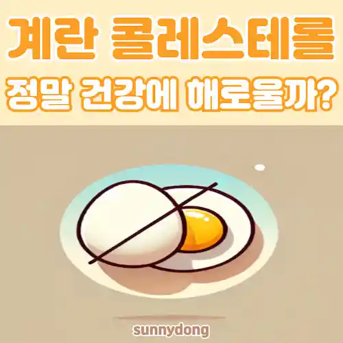 계란 콜레스테롤, 진실과 올바른 섭취법 썸네일