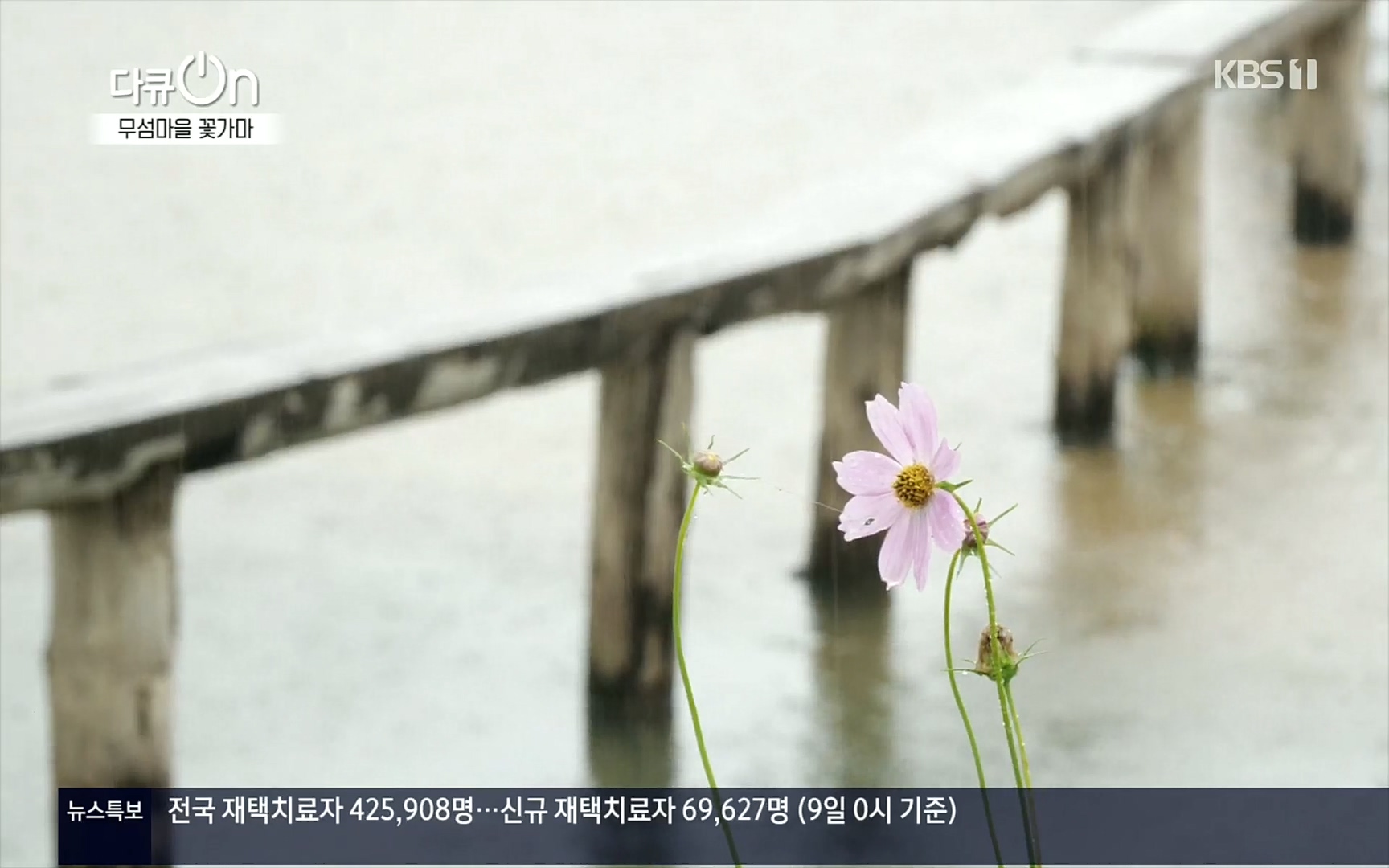 다큐 On.E156.220909p.H264-F1RST.mp4_20220910_192335.872.jpg