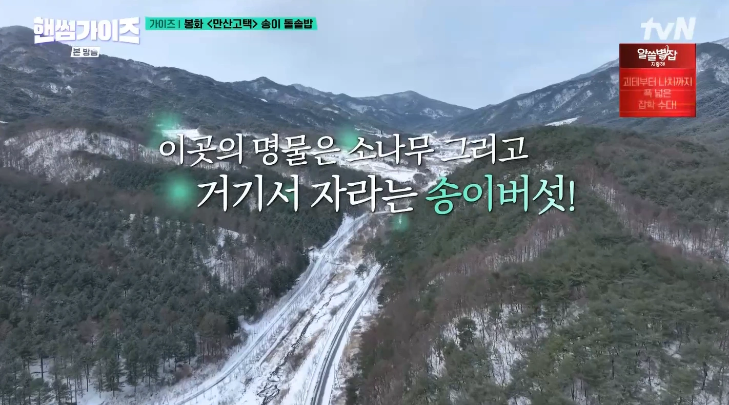 핸썸가이즈 – 봉화와 영주의 건축과 맛을 잇다, 동궁회관과 교동면옥 맛집
