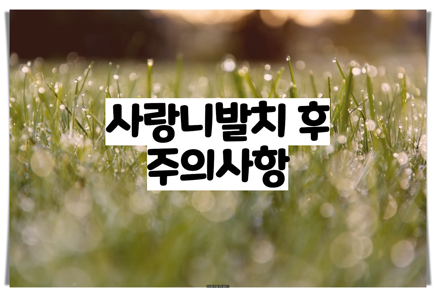  사랑니발치 후 주의사항 - 당신의 쾌유를 기원합니다