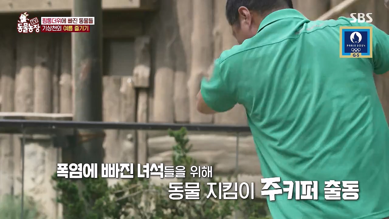 TV 동물농장.E1181.240722p-NEXT.mp4_20240721_165546.121.jpg