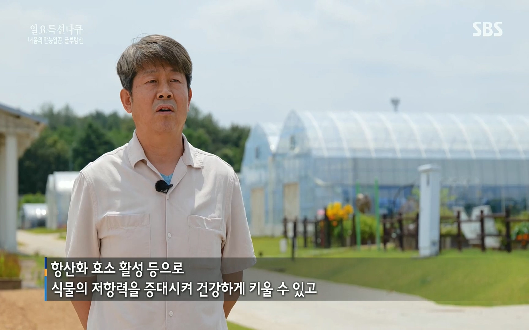 일요 특선 다큐멘터리.E283.220717p.H264-F1RST.mp4_20220718_202848.293.jpg