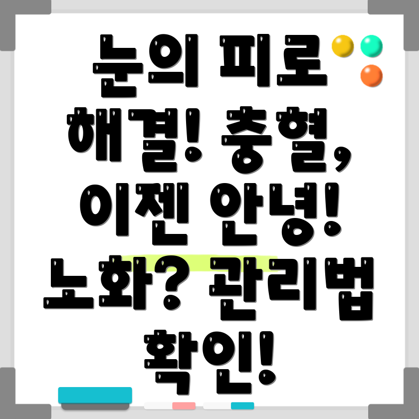눈의 피로