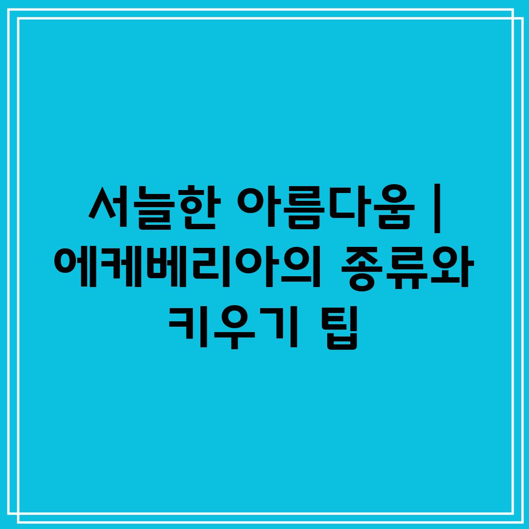 서늘한 아름다움  에케베리아의 종류와 키우기 팁