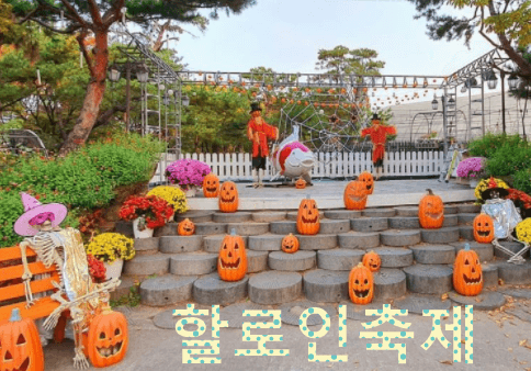 배다골테마파크-할로윈축제