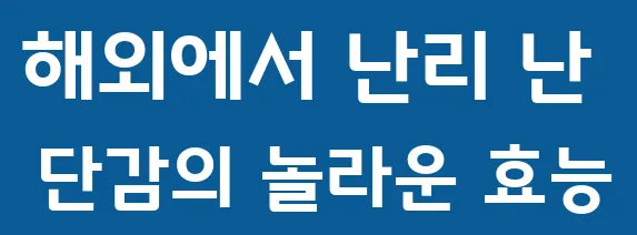 해외에서 난리 난 단감의 놀라운 효능
