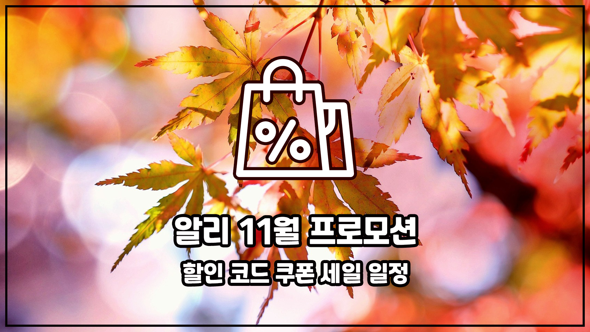 11월 알리 프로모션