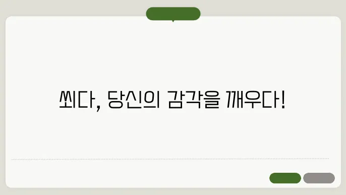 쐬다 의미와 활용법