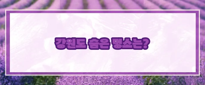 강원도 가볼만한곳 베스트10 2025 (+자연힐링여행)