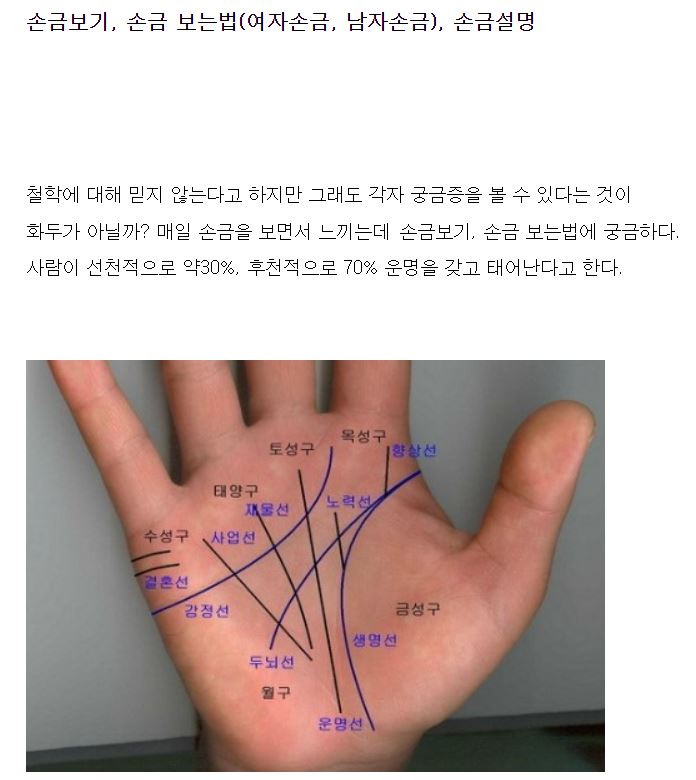  손금보는법