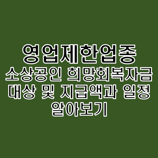  [추가 확정 사항] 영업제한업종 소상공인 희망회복자금 대상 및 금액 그리고 일정