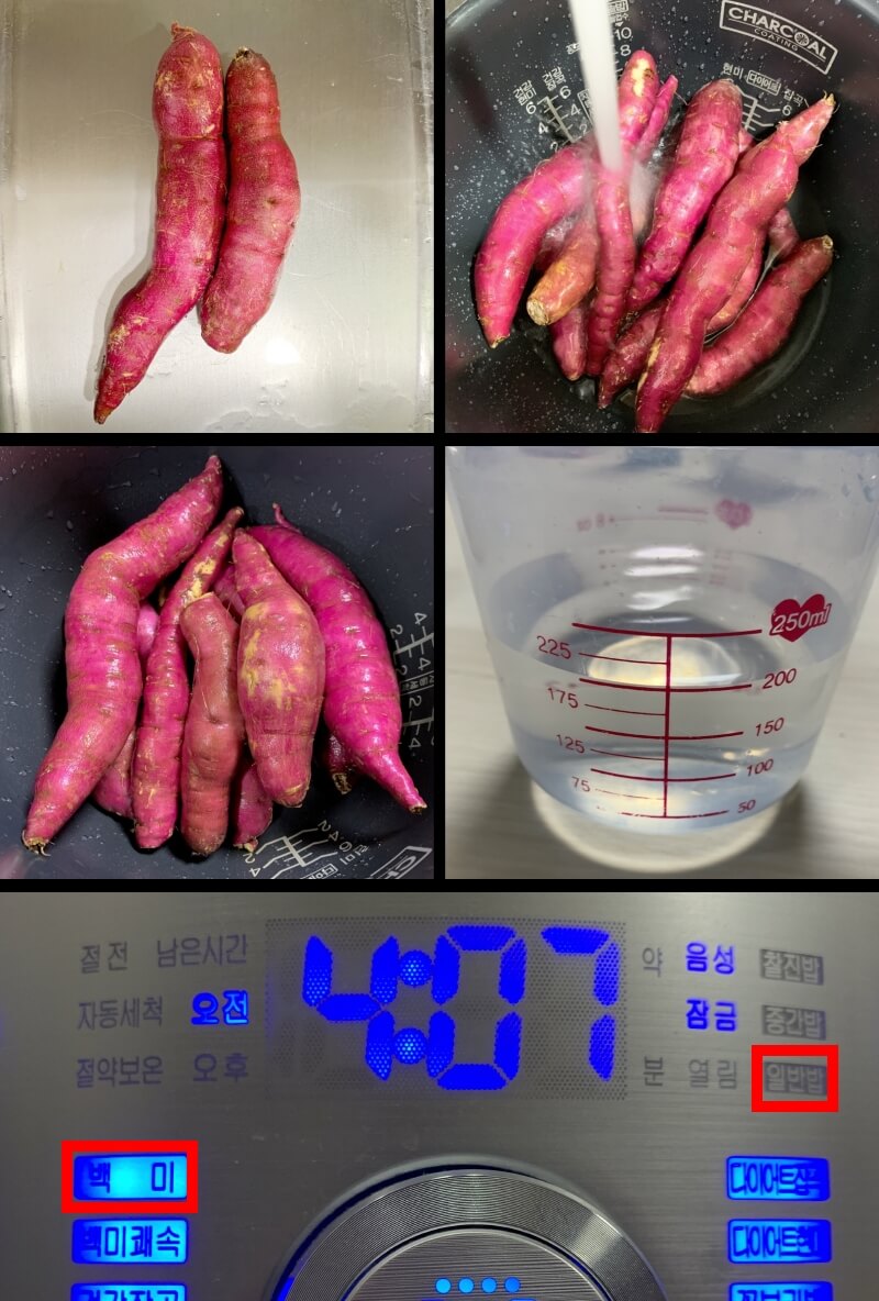 전기압력솥 꿀 고구마 맛있게 삶는법 버튼 하나로 끝 전기압력솥 꿀 고구마 맛있게 삶는법 버튼 하나로 끝