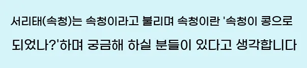  서리태(속청)는 속청이라고 불리며 속청이란 '속청이 콩으로 되었나?'하며 궁금해 하실 분들이 있다고 생각합니다