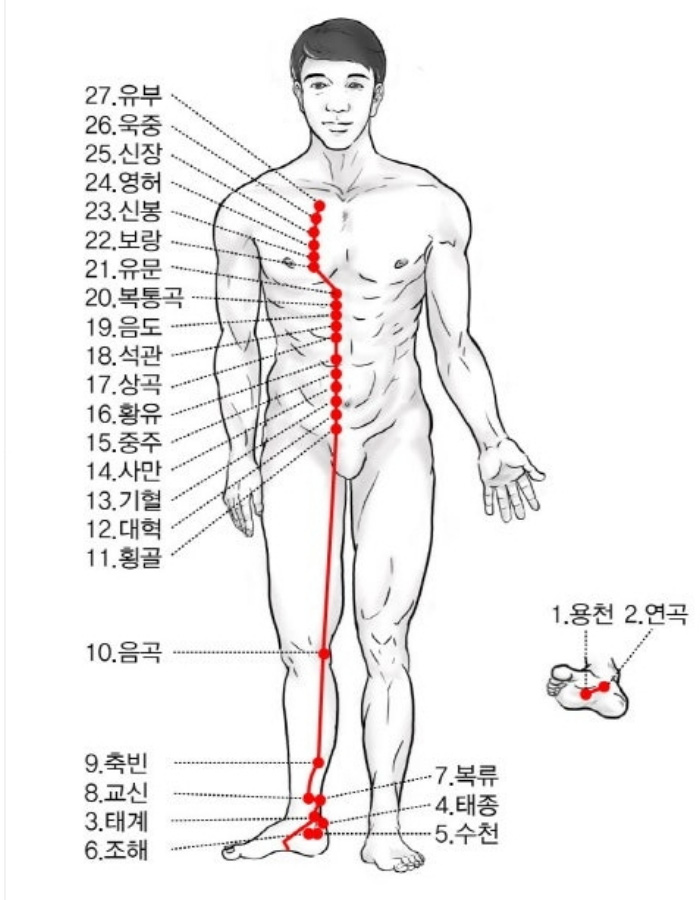 인체의 12경락 중에서 족소음신경의 27개 혈자리의 위치를 빨갛게 표시를 하고 이름을 명기한 이미지 사진