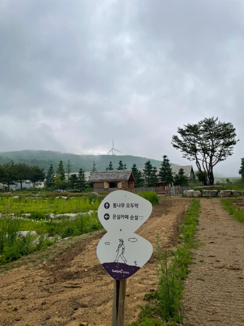 온실카페