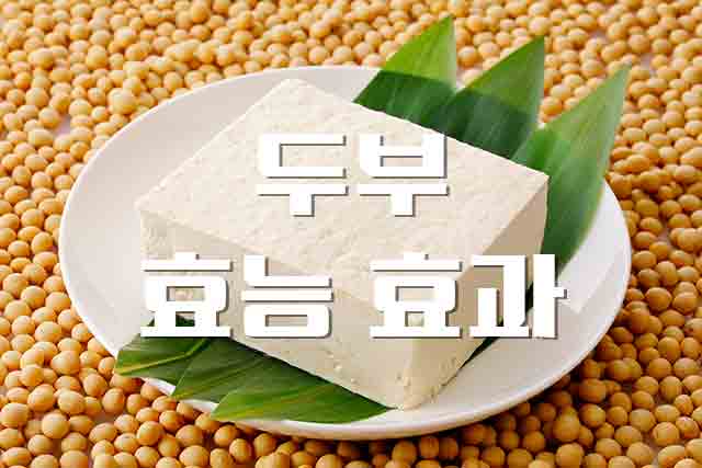  두부, 다이어트와 성인병 예방에 효과적