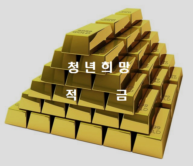  노다지네 잡학다식