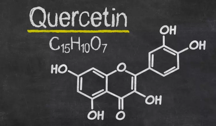 케르세틴(Quercetin)