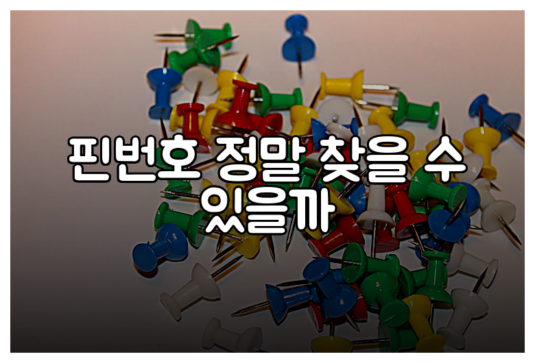 핀번호 정말 찾을 수 있을까