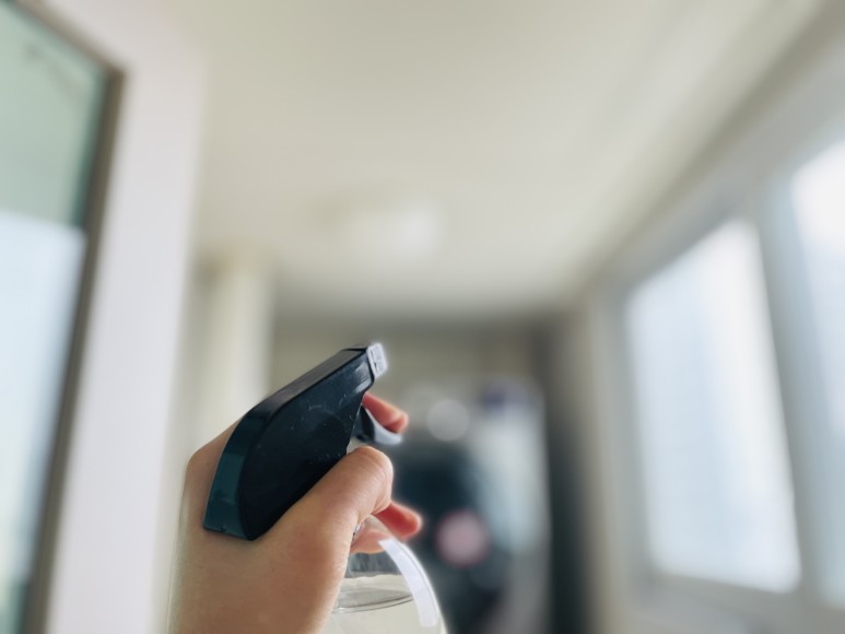 초파리 벌레 극혐오 4가지 활용법 15