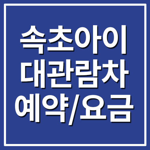 속초아이 대관람차 예약 및 요금 안내