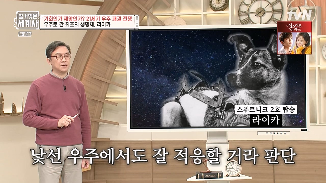 벌거벗은 세계사.E84.230132p-NEXT.mp4_20230307_202240.870.jpg